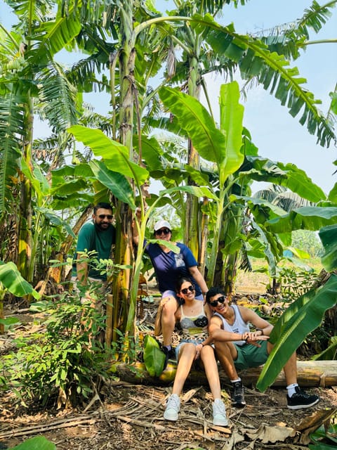 Hanoi City Tour and Countryside 4,5 Hours - Who this Hanoi jeep tour fits best (and who should skip)