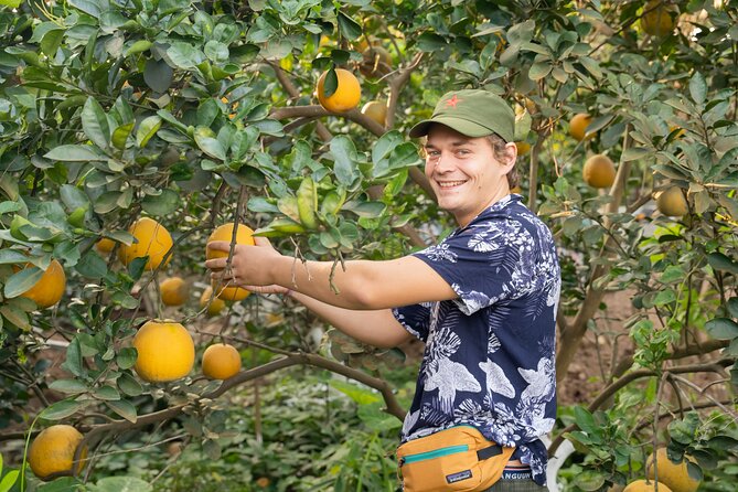 Hanoi Cooking Class in a Haven of Tranquility - Thom culinary - Thơm Culinary: a tranquil garden that resets Hanoi