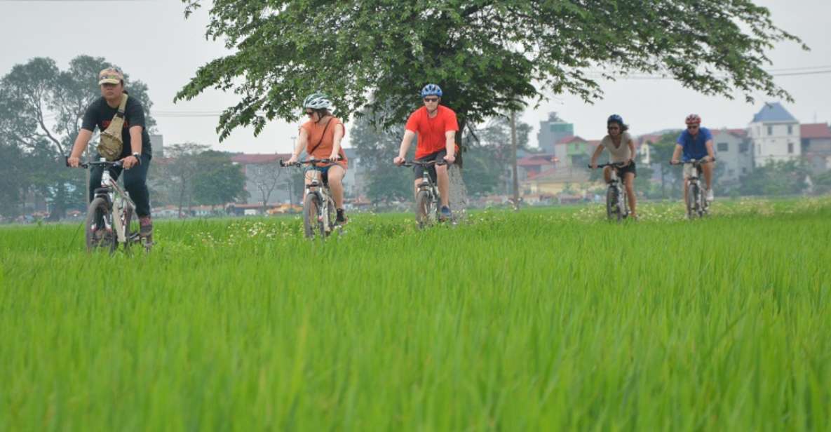 Hanoi Countryside Bike Tour: Red River Culture & Daily Life - River-to-rice: what this 4-hour Hanoi ride really delivers