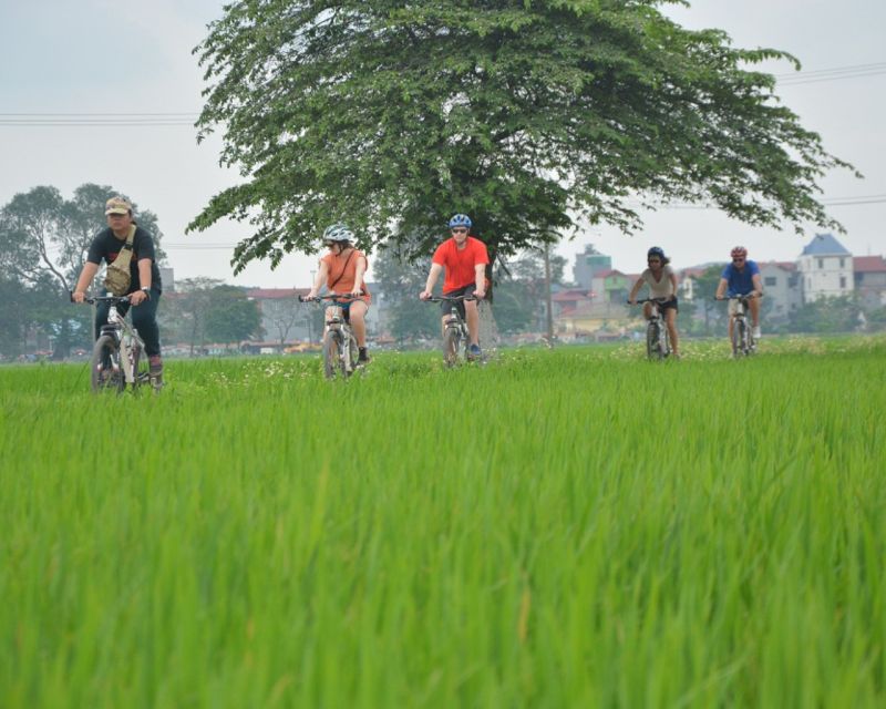 Hanoi Countryside Bike Tour: Red River Culture & Daily Life - First stop: the ancient village gate across the Red River