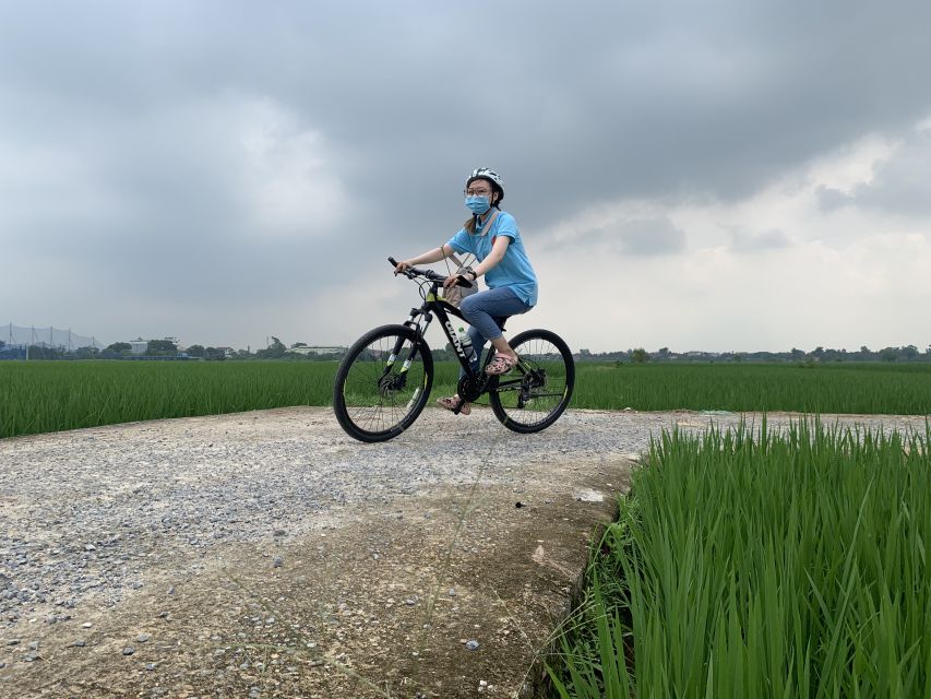 Hanoi Countryside Bike Tour: Red River Culture & Daily Life - Rice fields and agriculture: rural work you can see, not just read