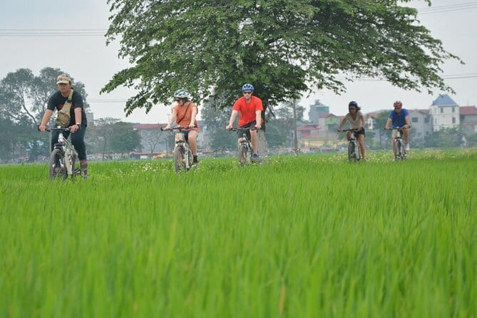 Hanoi Countryside By Bike & Local House and Food Tasting - Key things to know before you go