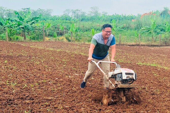 Hanoi Countryside in Banana Island - Top Tours & Activities - Price, Pickup, and Value: Is $52 Worth It?
