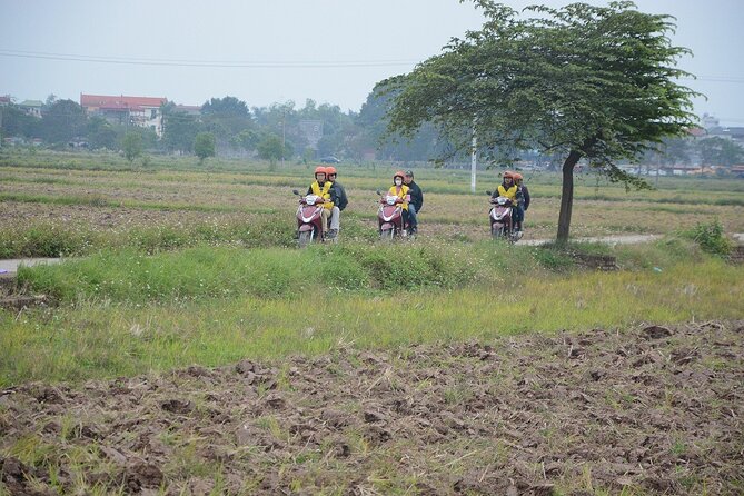 Hanoi Countryside Motorbike Tours Led By Women - Tea, peanut candy, and a 200-year-old traditional house family chat