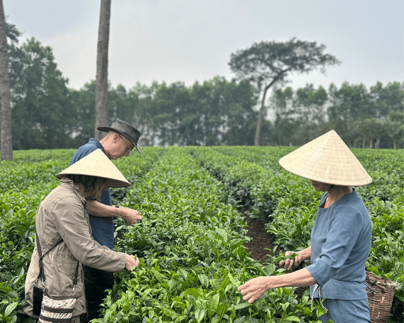 Hanoi Eco Tour: Ba Vi National Park Wonders & Tea Plantation - Key highlights to notice before you go