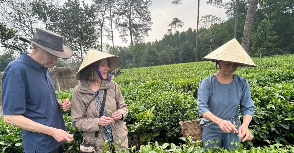 Hanoi Eco Tour: Ba Vi National Park Wonders & Tea Plantation - Price and value: is $80 a fair deal for 9 hours?