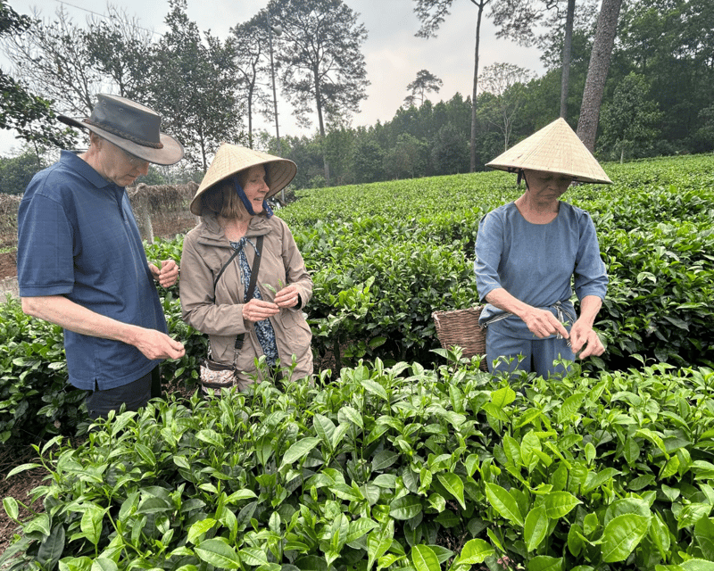Hanoi Eco Tour: Ba Vi National Park Wonders & Tea Plantation - Nature and wildlife time: what to expect in a national park day