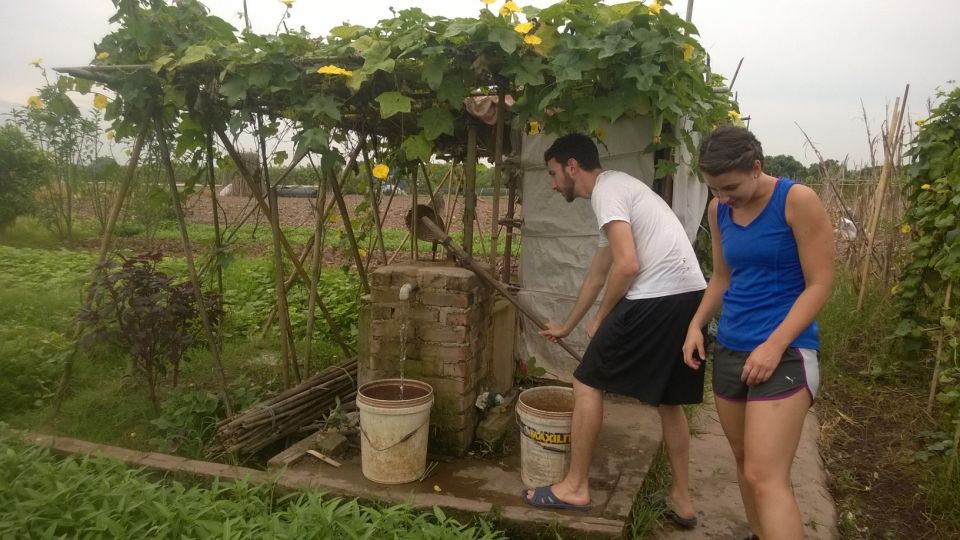 Hanoi Farm Tour and Cooking Class with Local Family - Cooking class in a family home: how the meal becomes the lesson