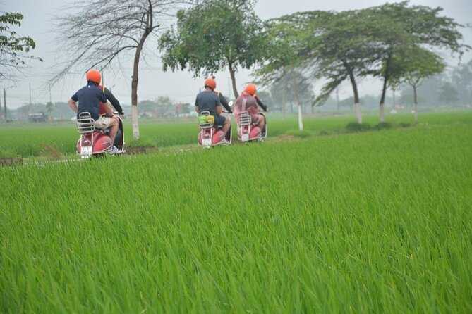 Hanoi Food Tours: Hanoi Foodie Scooter Tour Led By Women - Price and what you’re really paying for at $69