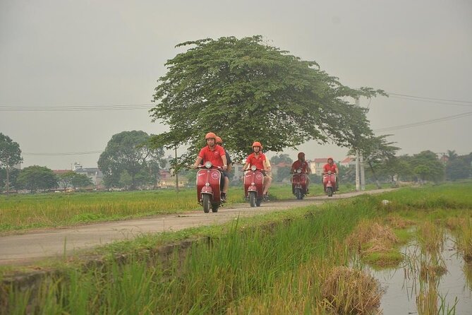 Hanoi Food Tours: Hanoi Foodie Scooter Tour Led By Women - Stop-by-stop: banh cuon, bun cha, Train Street coffee, and egg coffee