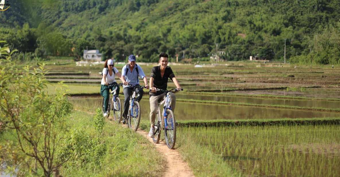 Hanoi: Full Day Guided Tour of Hoa Lu, Tam Coc, and Mua Cave - Key Things I’d Not Skip