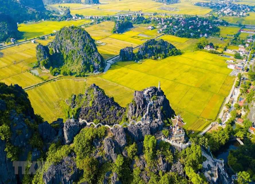 Hanoi: Full Day Tour of Hoa Lu, Tam Coc, and the Mua Cave - The Mua Cave Climb: Nearly 500 Steps to a Big Panoramic Payoff