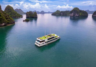 Hanoi: Halong Bay Cruise, Amazing Cave, Titov Island & Kayak - Buffet lunch on board: tasty seafood… with drink limits