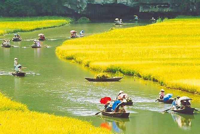 Hanoi - Hoa Lu - Tam Coc - Mua Cave - 1 Day / By Luxury Limousine & Small Group - Hoa Lu Ancient Capital: The 1-Hour Starter That Sets the Tone