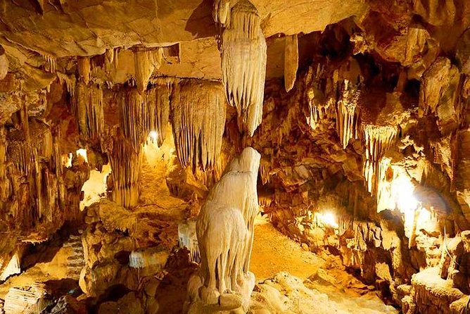 Hanoi - Hoa Lu - Tam Coc - Mua Cave - 1 Day / By Luxury Limousine & Small Group - Included Lunch, Tea Break, and What’s Not Covered