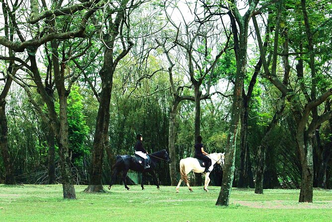 Hanoi Horseback Riding Club & Tours - Exclusive Experience - Key points before you go