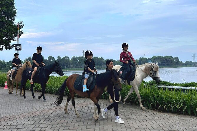 Hanoi Horseback Riding Club & Tours - Exclusive Experience - Safety, equipment, and the coaching that makes beginners comfortable