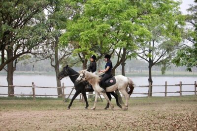 Hanoi Horseback Riding Club & Tours - Exclusive Experience - The full 2–3 hour flow: from check-in to a 2000m trail