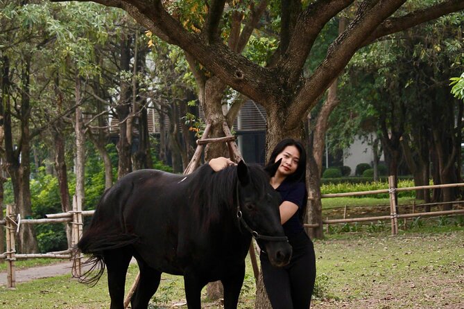 Hanoi Horseback Riding Club & Tours - Exclusive Experience - The +2000m beginner trail: what you’ll actually notice