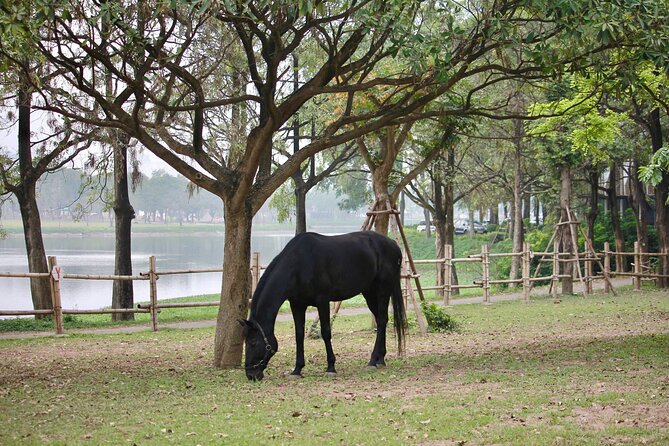 Hanoi Horseback Riding Club & Tours - Exclusive Experience - Who should book this (and who should adjust expectations)