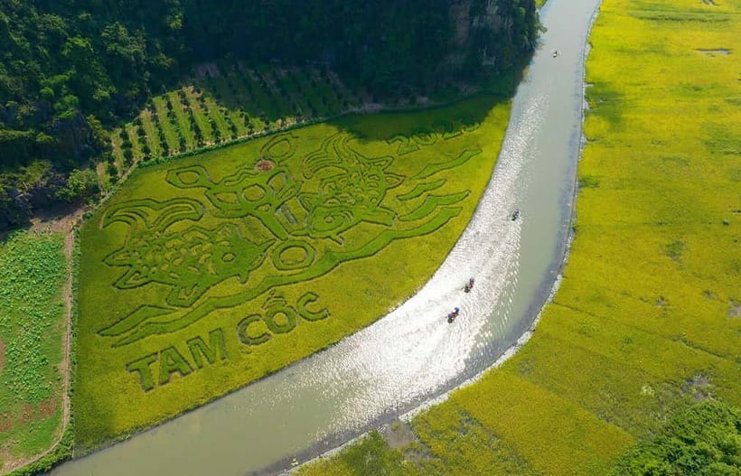 Hanoi: Incense Village, Ninh Binh Hoa Lu, Trang An, Mua Cave - Hoa Lu Temples: Vietnam’s First Capital Stop