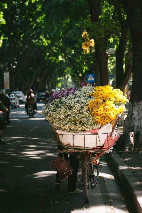 Hanoi Jeep Adventure: A Cultural Journey - Key things I’d plan around
