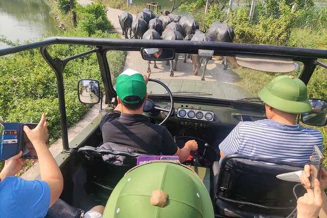 Hanoi Jeep Tours Led By Women: Hanoi Countryside Half Day - Lại Đà and the Red River banks: farm life and family bonsai