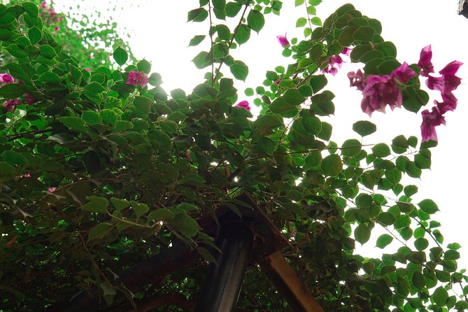Hanoi Market & Villa Cooking Class: Free Old Quarter Transfer - My Decision Guide: Should You Book This One?