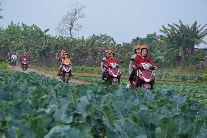 Hanoi Motorbike Tours Led By Women: Hanoi Outskirts & Rural Life - Why this women-led Hanoi scooter tour feels different