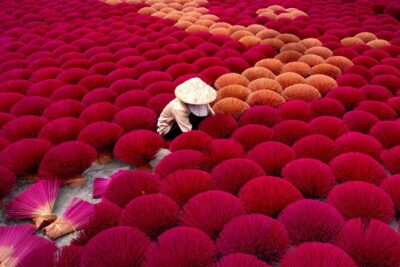 Hanoi, Ninh Binh and Ha Long 6 Day 5 Night Overnight Cruise Tour - Ninh Binh Day 3: Hoa Lu temples, cycling views, and Trang An caves