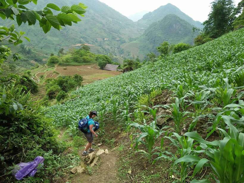 Hanoi- SaPa: 3-Day Homestay Trek to Explore Ethnic cultures - Day 3: Ban Ho sunrise and the short trek to Nam Tong