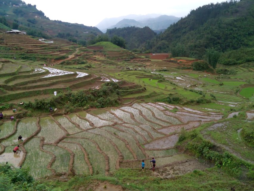Hanoi- SaPa: 3-Day Homestay Trek to Explore Ethnic cultures - Homestays and meals: what you’ll likely love (and what to expect)