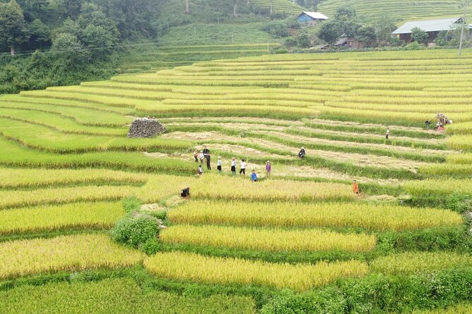 Hanoi - Sapa 3 Days - 2 Nights Trekking with With the locals - Key Highlights You’ll Actually Care About