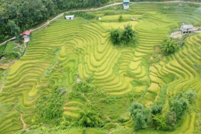 Hanoi - Sapa 3 Days - 2 Nights Trekking with With the locals - How the H’Mông-Guided Format Changes the Trek