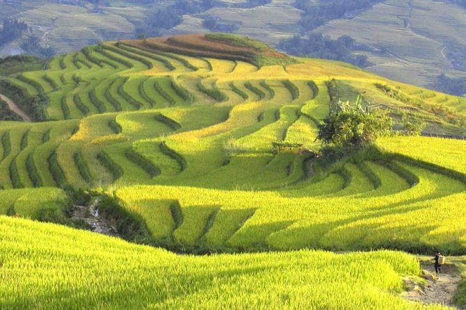 Hanoi-Sapa Trek 2 days 2 nights and Homestay with small group - Sapa from Hanoi: the point of going in 2 days