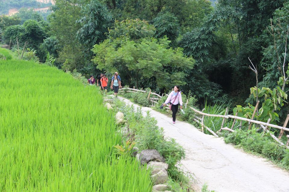 Hanoi to Sapa: Terraced Fields, Culture & Cuisine – 3 Days - Day 3: 6 km to Red Dao villages (Giang Ta Chai and Supan), then back to Hanoi
