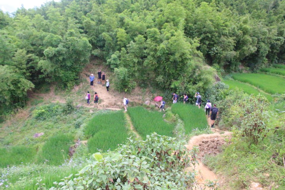 Hanoi to Sapa: Terraced Fields, Culture & Cuisine – 3 Days - Food, culture, and the small stuff that changes your experience
