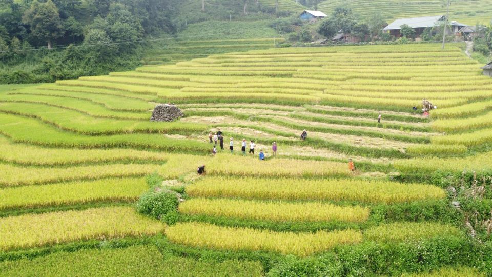 Hanoi to Sapa: Terraced Fields, Culture & Cuisine – 3 Days - Transportation details that matter more than you think