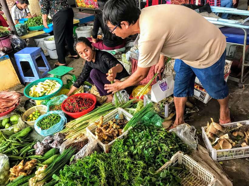 Hanoi Vegan Cooking Class: A Vietnamese Culinary Adventure - Ngoc Ha Market: Picking Vegan-Friendly Ingredients Like a Pro