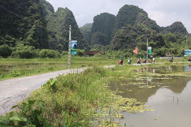 Hanoi Vespa Tour Explore Red River Delta & Rural Villages 5 Hours - Co Loa Citadel and Red River Delta Views: Rice Paddies and Market Time