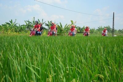 Hanoi Vespa Tours: Hanoi Vintage Vespa Tours Countryside - Co Loa Citadel and a farm stop: history plus everyday work