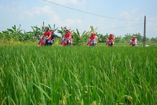 Hanoi Vespa Tours: Hanoi Vintage Vespa Tours Countryside - Co Loa Citadel and a farm stop: history plus everyday work