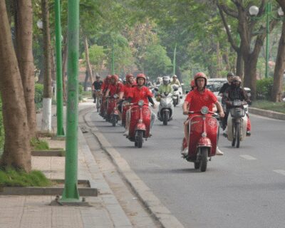 Hanoi Vintage Vespa Tours: A Half-Day Countryside Adventure - A bonsai family visit in Hanoi’s countryside: craft, patience, and people