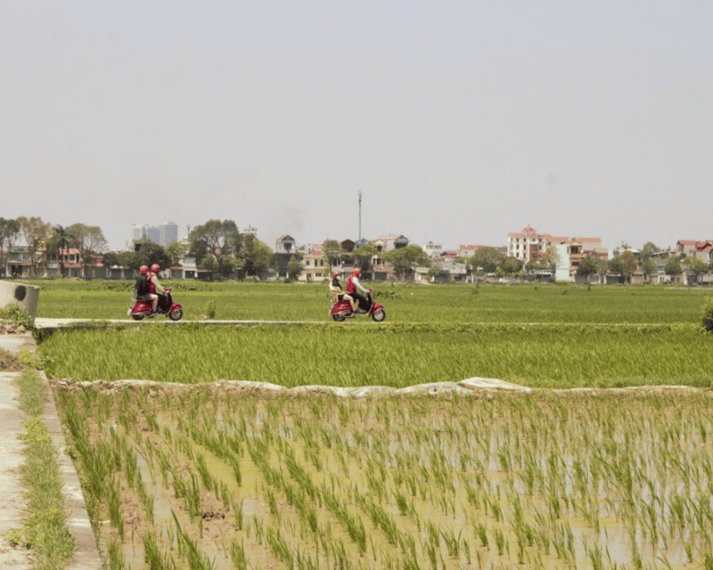 Hanoi Vintage Vespa Tours: A Half-Day Countryside Adventure - Lunch and egg coffee: how the tour ends on a sweet caffeine note