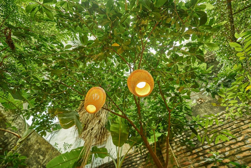Hanoi’s Culinary: Authentic Cooking Class and Local Market - Timing: morning vs afternoon (and what it means for your day)