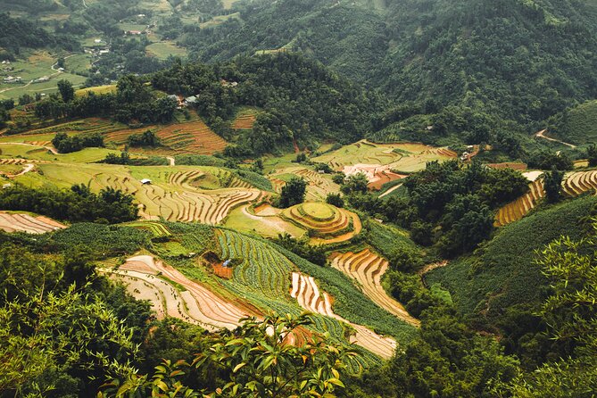 Highland Harmony Trek in Sapa - From Green Sapa Homestay to Muong Hoa Valley: the tone of the day