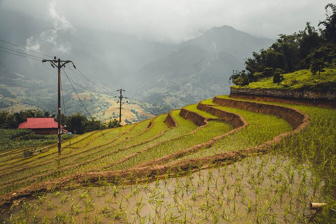 Highland Harmony Trek in Sapa - Muong Hoa Valley: rice terraces, stone paths, and a calm opening hour