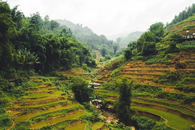Highland Harmony Trek in Sapa - Price and value: getting a full day for $29 without feeling shortchanged