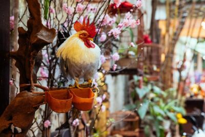 Highlights & Hidden Gems With Locals: Best of Hanoi Private Tour - Dong Xuan Market: The Best Start for Seeing Hanoi Clearly