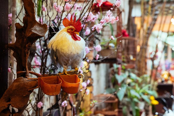 Highlights & Hidden Gems With Locals: Best of Hanoi Private Tour - Dong Xuan Market: The Best Start for Seeing Hanoi Clearly